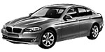 BMW F10 P219B Fault Code